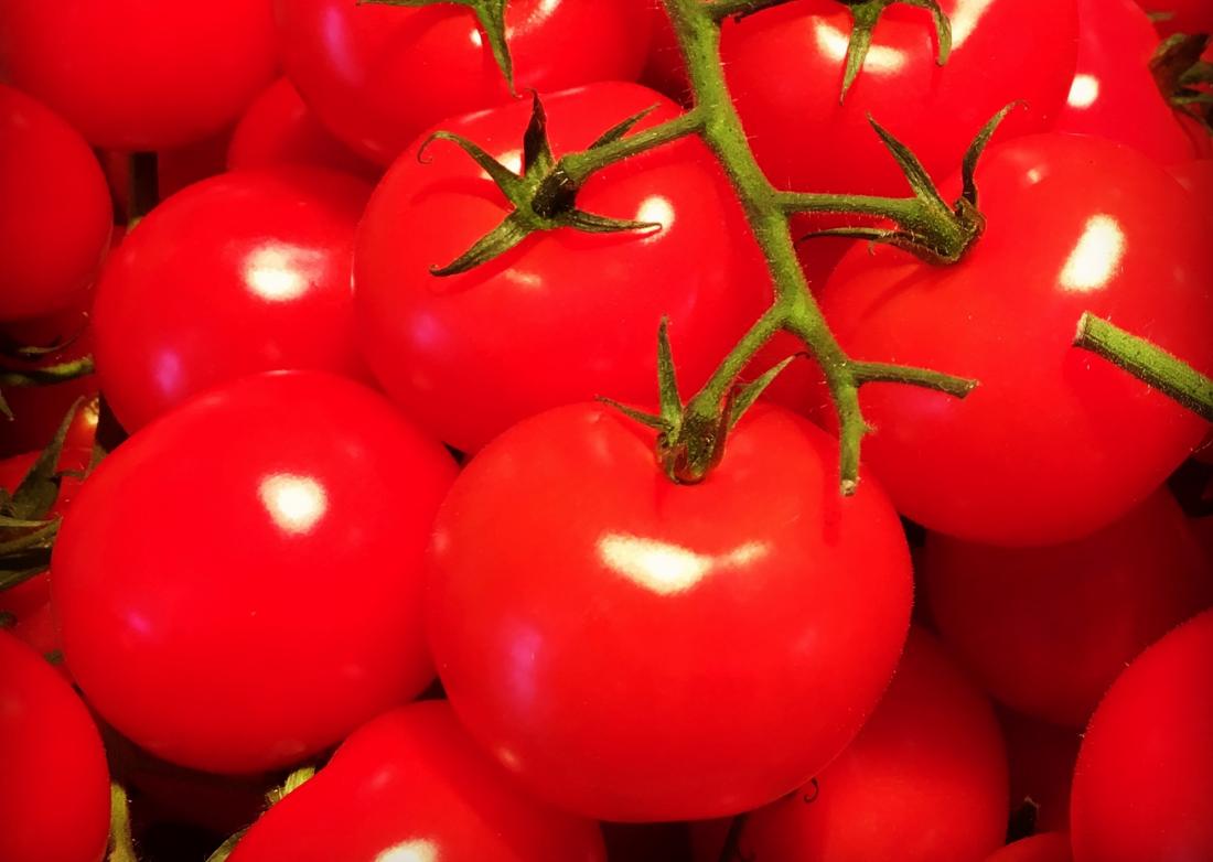 Tomates close-up