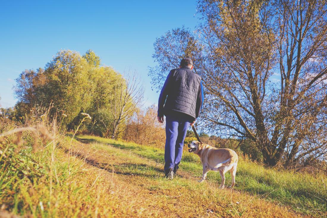 Man walking his dog to try and lose belly fat