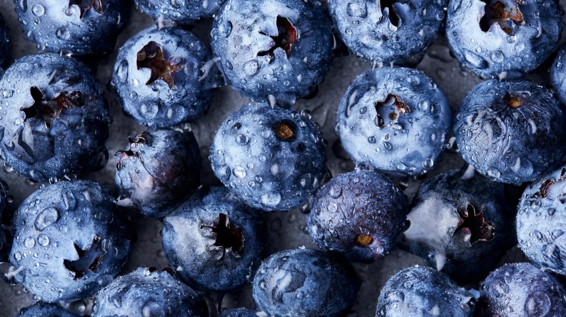 wet blueberries closeup 1296x728 header