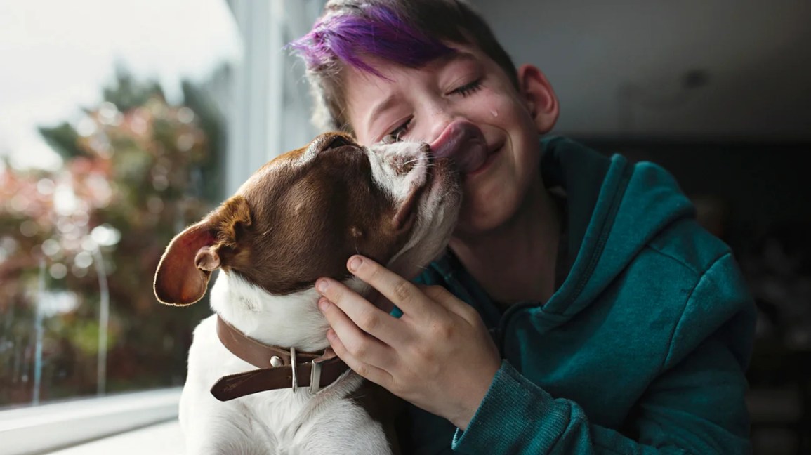 O que saber sobre o transtorno de pirrole 1 sad crying child and dog 1296x728 header 1