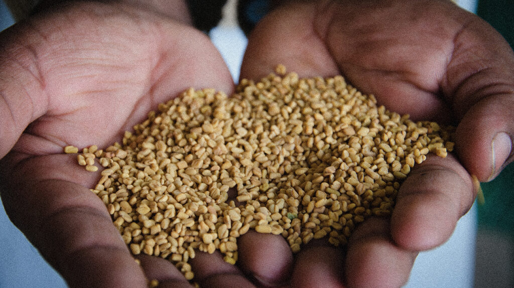 Uma pessoa segurando alguns esteróides naturais nas mãos.