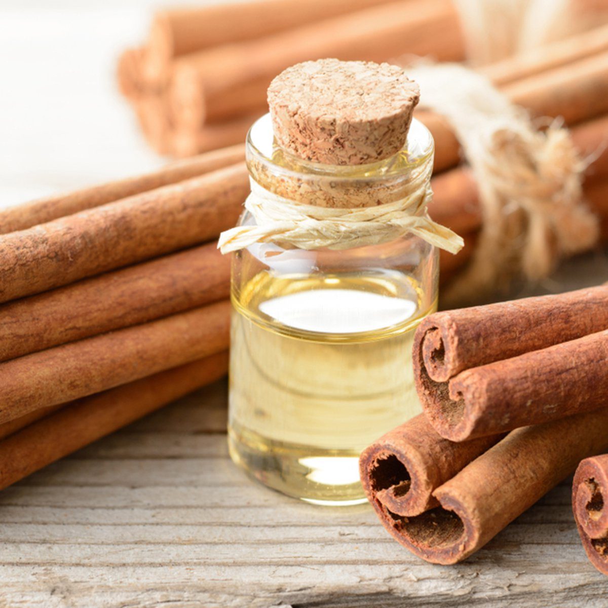 benefícios de saúde da canela